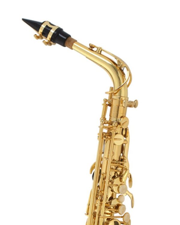 Buffet 100 Series Alto Saxophone - Image 4