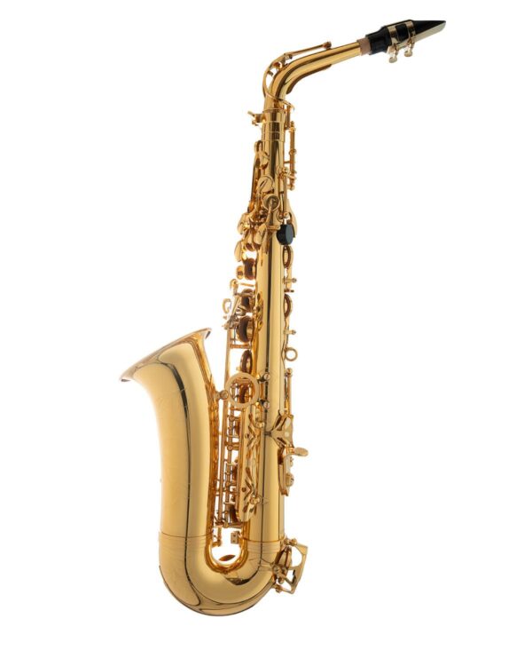 Sakkusu Alto Saxophone - Image 4