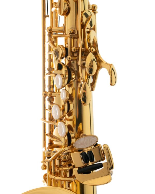Sakkusu Alto Saxophone - Image 6