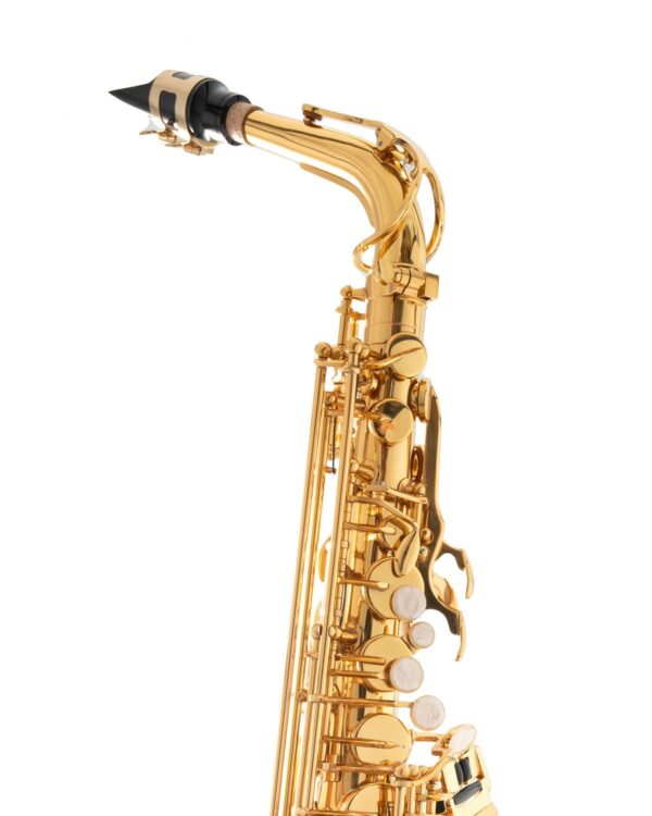 Sakkusu Alto Saxophone - Image 7