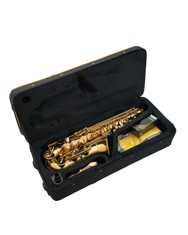 Sakkusu Alto Saxophone - Image 9