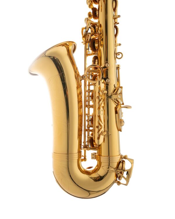Sakkusu Alto Saxophone - Image 5