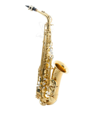 Trevor James - The Horn - Alto Saxophone - Gold Lacquer