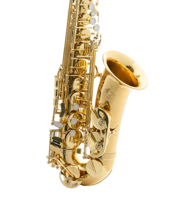 Trevor James - The Horn - Alto Saxophone - Gold Lacquer - Image 3