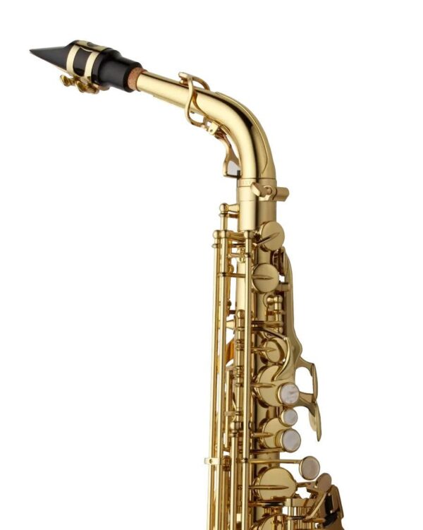 Yanagisawa AWO10 Alto Saxophone - Gold Lacquer - Image 4