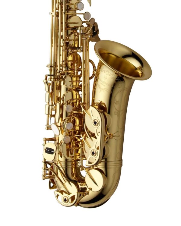 Yanagisawa AWO10 Alto Saxophone - Gold Lacquer - Image 3