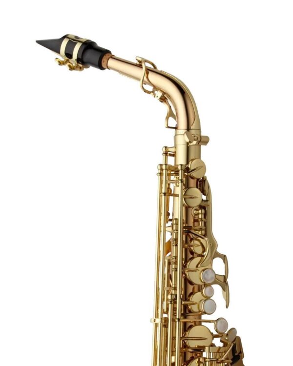 Yanagisawa AWO20 Alto Saxophone - Bronze - Image 4