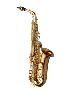 Yanagisawa AWO20 Alto Saxophone - Bronze
