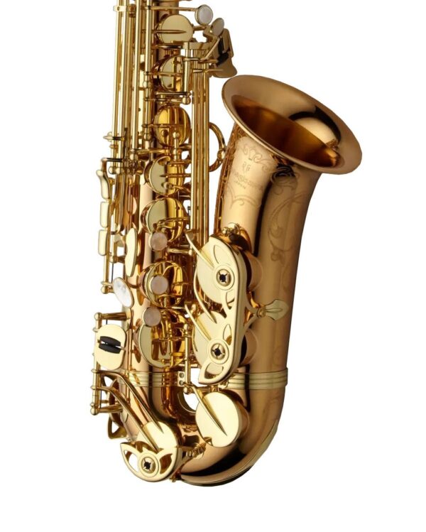 Yanagisawa AWO20 Alto Saxophone - Bronze - Image 3
